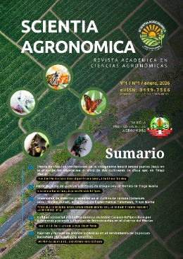 Portada de la revista